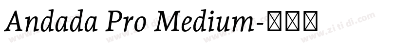 Andada Pro Medium字体转换